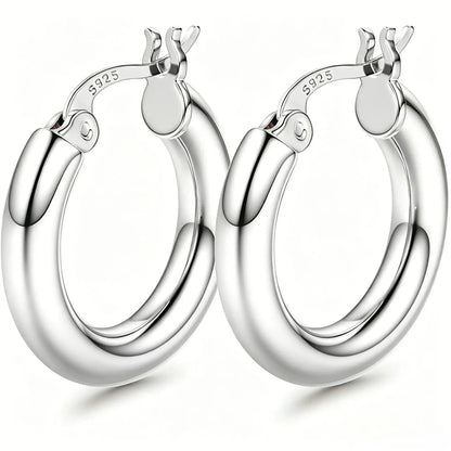 14K Chunky Gold Hoop Earrings for Women 925 Sterling Silver Post Hollow Tube Hoops Earrings 4Mm Thick Hoop Earrings Hypoallergenic Lightweight Gold Big Large Hoop Earrings 25/30/40/50/60/70MM, Gold Jewelry, Accessories